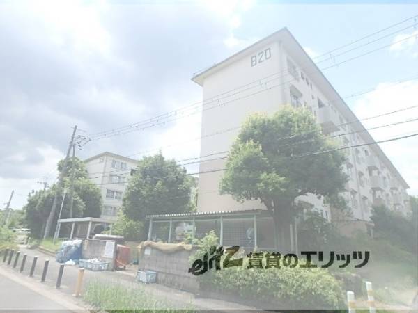 男山団地B30号棟の賃貸情報 樟葉駅【スマイティ】 建物番号：10974850